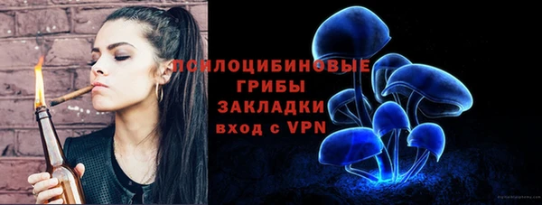 шишки Сураж