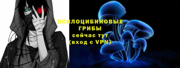 мет Козловка