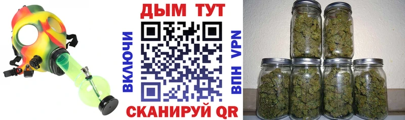Конопля семена  Котельнич 